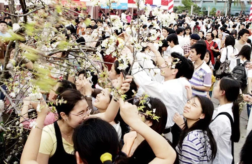 Đi tìm lối ứng xử chuẩn mực