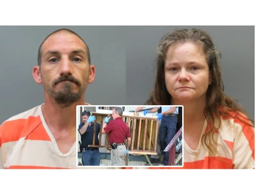 Bị nhốt trong cũi chó, làm “nô lệ tình dục” 