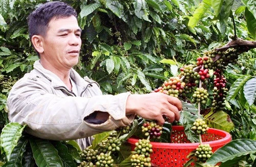 Tiếp sức cho doanh nghiệp