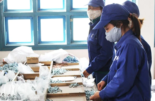 Tiếp tục hỗ trợ doanh nghiệp bị thiệt hại