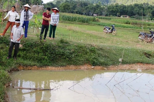 Đi mua sữa về, mẹ phát hiện 2 con đuối nước dưới ao