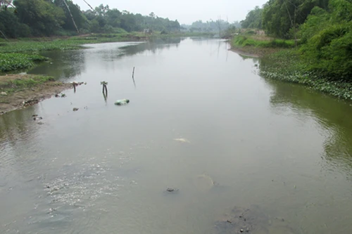 Sông Đáy thơ mộng bị ô nhiễm trầm trọng, trở thành "dòng sông chết"