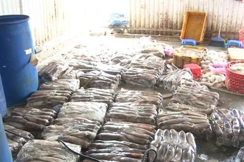 Phát hiện 2 tấn mực thối tại một cơ sở chế biến ở Hoàng Mai