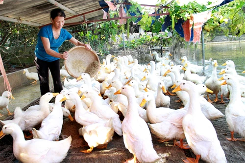 4,5 triệu hộ thoát nghèo nhờ tín dụng chính sách