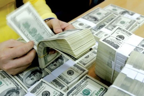 Ngân hàng Nhà nước muốn gia hạn cho vay ngoại tệ đến hết năm 2018