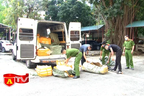 Phát hiện vụ vận chuyển gần 1,5 tấn nội tạng động vật không rõ nguồn gốc
