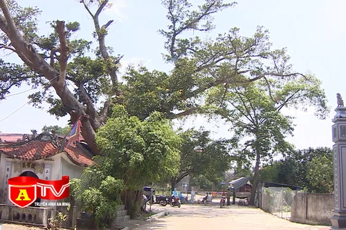 Đảm bảo an toàn tại các khu vực cách ly phòng chống dịch Covid-19