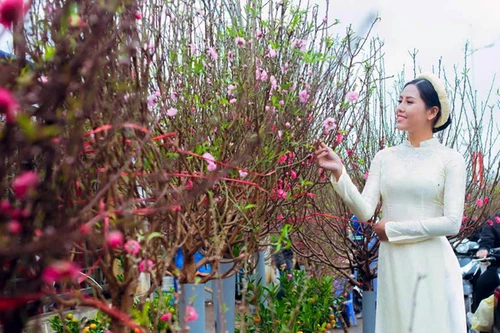 Nguyễn Thị Loan: Muốn tính chuyện lâu dài!