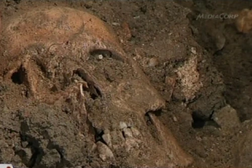 Nụ cười bí ẩn của nàng Mona Lisa có được giải mã?