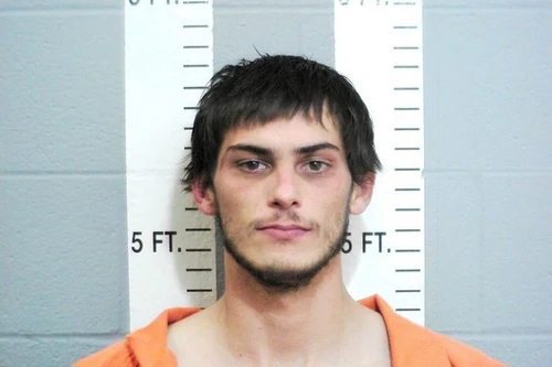 Bé gái hoảng hồn phát hiện tội phạm truy nã trốn trong tủ