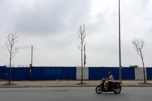 Đề nghị "cấm cửa" nhà thầu trồng cây chết khô trên đường Nguyễn Xiển