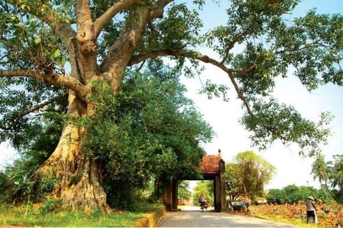 Sở hữu nhiều lợi thế nhưng lý do nào khiến Hà Nội gặp khó khăn trong phát triển công nghiệp văn hóa?