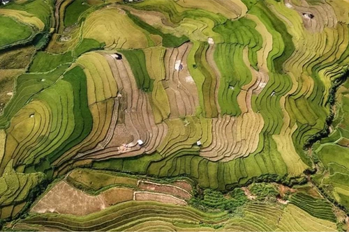 "Vân núi 5" đoạt HCV cuộc thi ảnh quốc tế