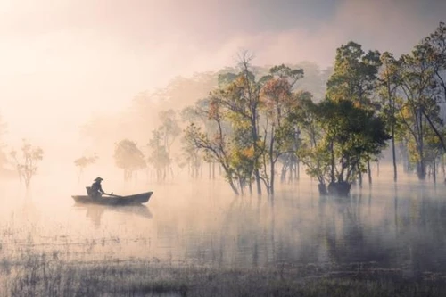 "Bản tình ca mùa thu" đoạt giải Vàng thi ảnh quốc tế