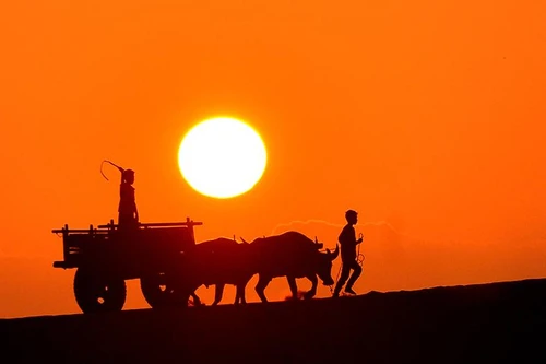 Việt Nam qua ống kính nhiếp ảnh gia quốc tế