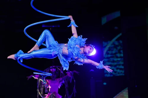 Mãn nhãn với màn khai mạc Cuộc thi tài năng Xiếc toàn quốc - 2021