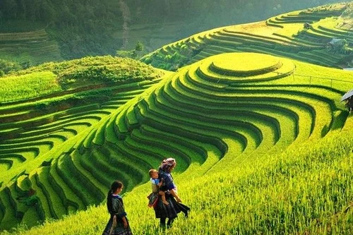 Tuần lễ văn hóa "Qua những miền di sản ruộng bậc thang Hoàng Su Phì"