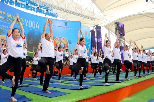 Ngày Quốc tế Yoga 2025 được tổ chức tại 43 địa điểm tại Việt Nam