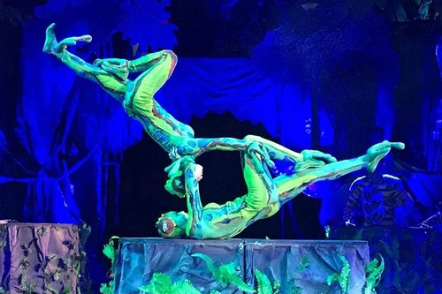 Vì sao "Thi tài năng xiếc toàn quốc 2021" chỉ có 5 đoàn nghệ thuật góp mặt?