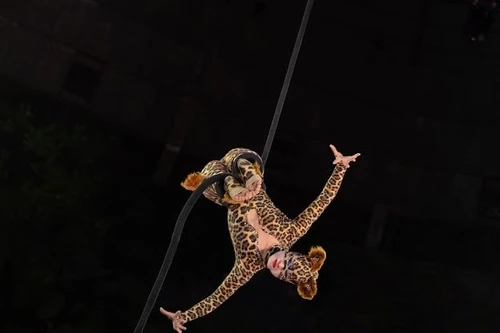 Xiếc Việt giành vương miện Đồng 