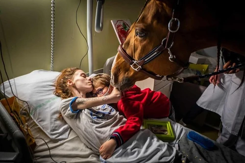 Những khoảnh khắc ám ảnh của Giải Ảnh Báo chí thế giới 2021