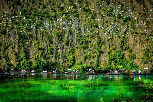 Nhiếp ảnh Việt Nam giành 2 huy chương quốc tế