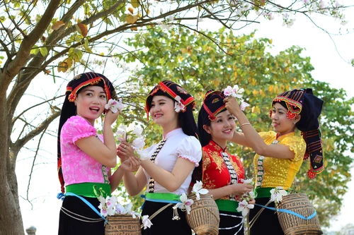 "Ngày hội hoa ban" tại Làng Văn hóa - Du lịch các dân tộc Việt Nam