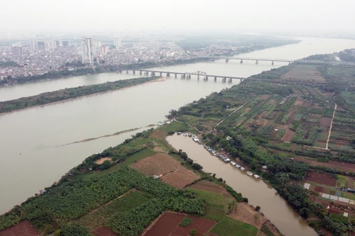 Bàn thảo giải pháp quy hoach, phát triển và quản lý khu vực bãi giữa sông Hồng