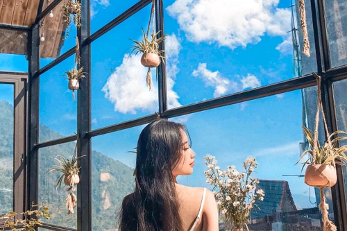 Đến Tam Đảo những ngày mờ sương, thả trôi tâm hồn vào sự thư thái