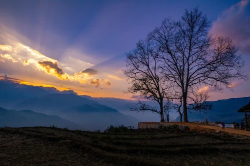 Tạm dừng công trình bê tông hóa "cây song song" ở Y Tý, trả lại nguyên trạng cho chốn "bồng lai tiên cảnh"