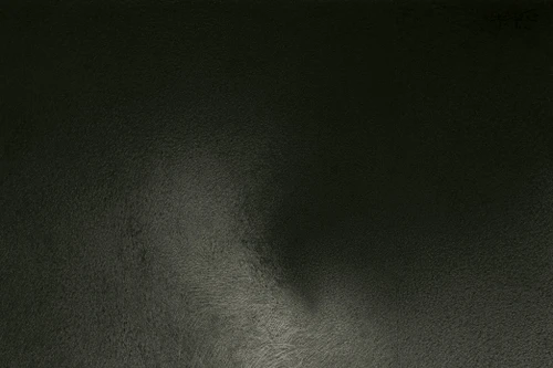 Tranh nude nửa như hiện ra, nửa như biến mất