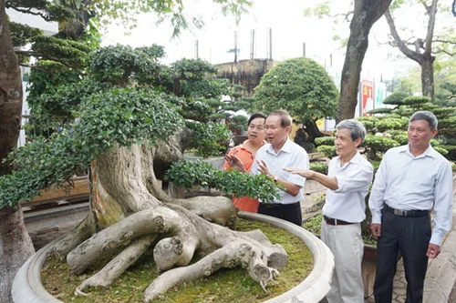 Festival sinh vật cảnh Hà Nội lần thứ Nhất - năm 2024