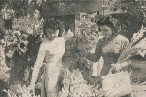 Hơn 100 phiên bản tài liệu tái hiện "Tết xưa" của người Việt