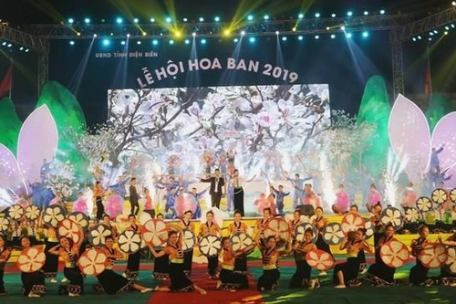Dừng tổ chức Lễ hội Hoa ban năm 2021