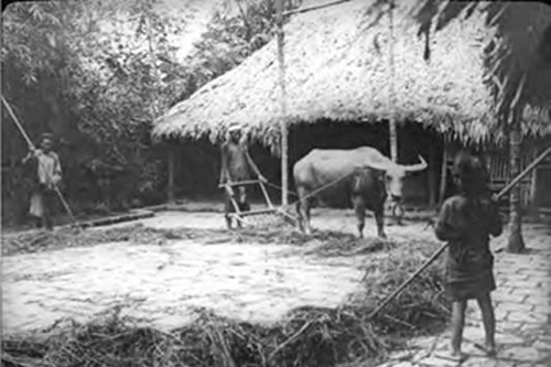 Công bố 2.000 tài liệu về Việt Nam từ thế kỷ 17 đến giữa thế kỷ 20 và mối quan hệ với nước Pháp