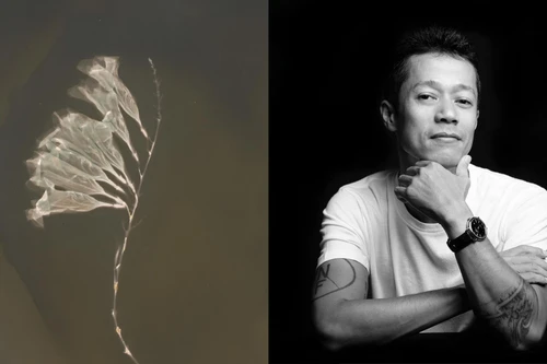 Chụp hoa bằng kỹ thuật nhiếp ảnh mới tại Việt Nam: “In nắng trên giấy ảnh đen trắng”