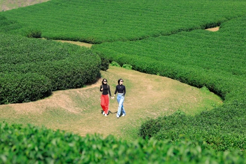 Mộc Châu được công nhận là Khu du lịch quốc gia