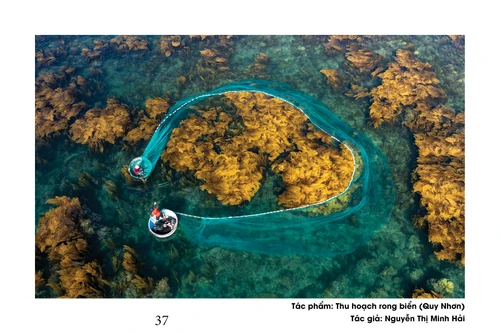 Hành trình đi tìm vẻ đẹp của nữ nhiếp ảnh gia U70