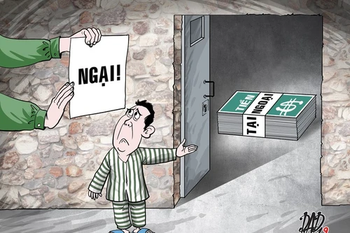 Người bị tạm giam mắc bệnh hiểm nghèo chỉ là một trong các căn cứ để xem xét cho tại ngoại 