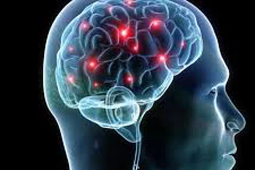 Não lớn không có nghĩa là thông minh hơn