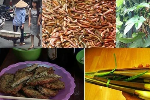 Thưởng thức chả rươi thơm ngon đúng điệu