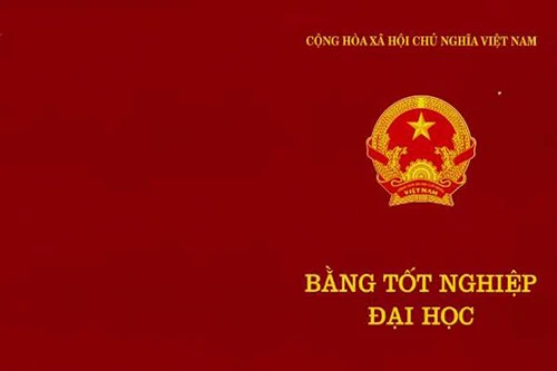 Bằng tốt nghiệp đại học bị mất, có được cấp lại?