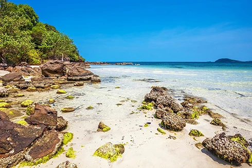 [ẢNH] Top 3 hòn đảo "thiên đường" ở Việt Nam bạn nên đến một lần trong đời