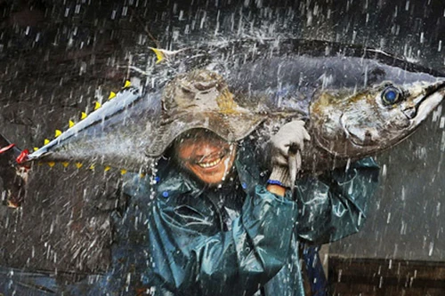 Thi ảnh nghệ thuật Việt Nam 2016