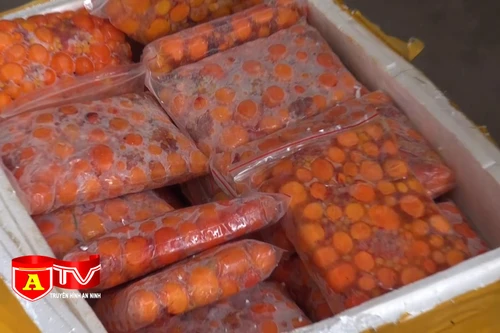 Phát hiện 10 tấn nội tạng động vật không rõ nguồn gốc