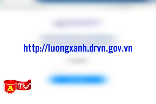 Triển khai cấp thẻ nhận diện phương tiện kèm mã QRCode để giảm ùn tắc tại các chốt kiểm dịch