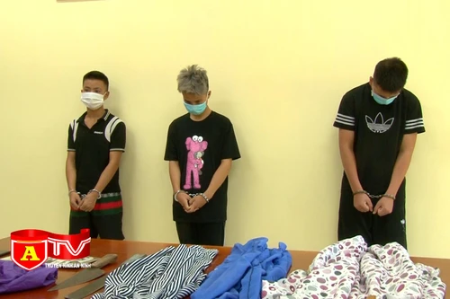 Triệt phá ổ nhóm cướp tài sản của người đi chợ sớm