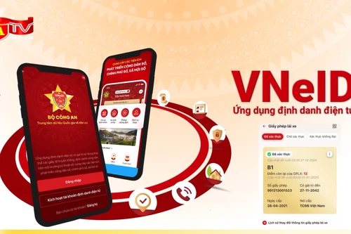 Cách kiểm tra điểm của giấy phép lái xe trên điện thoại