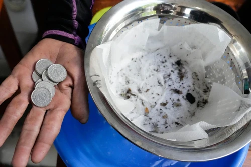 Philippines thưởng tiền cho người dân bắt muỗi