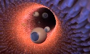 Robot siêu nhỏ mới đưa thuốc vào đúng vị trí trong cơ thể